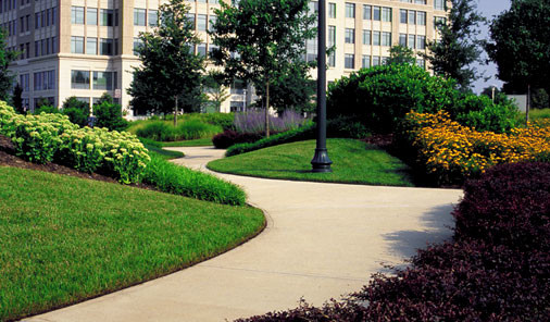 Landscaping and Maintenance